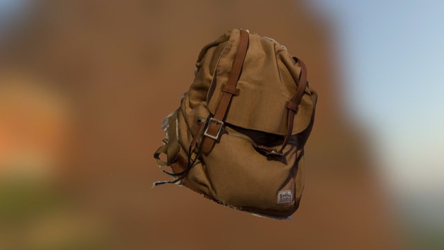 bag 3D Model