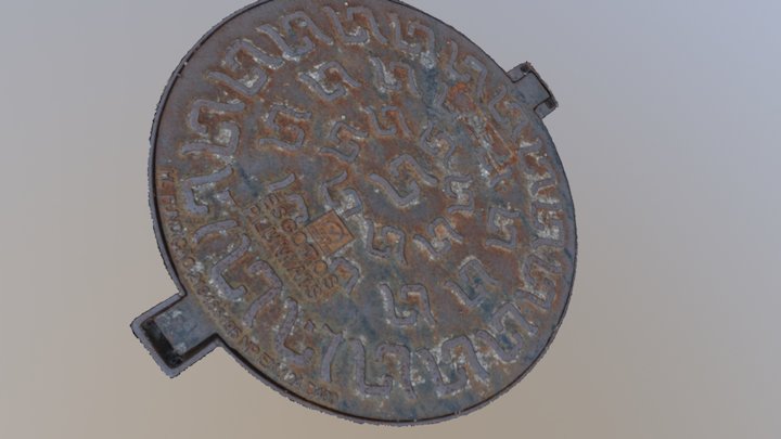 Sewage Cap 3D Model