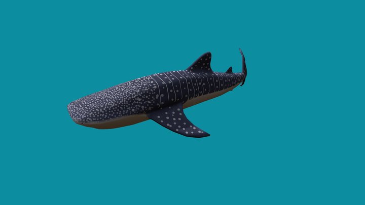 Whale Shark Game Ready – Free 3D Model STL