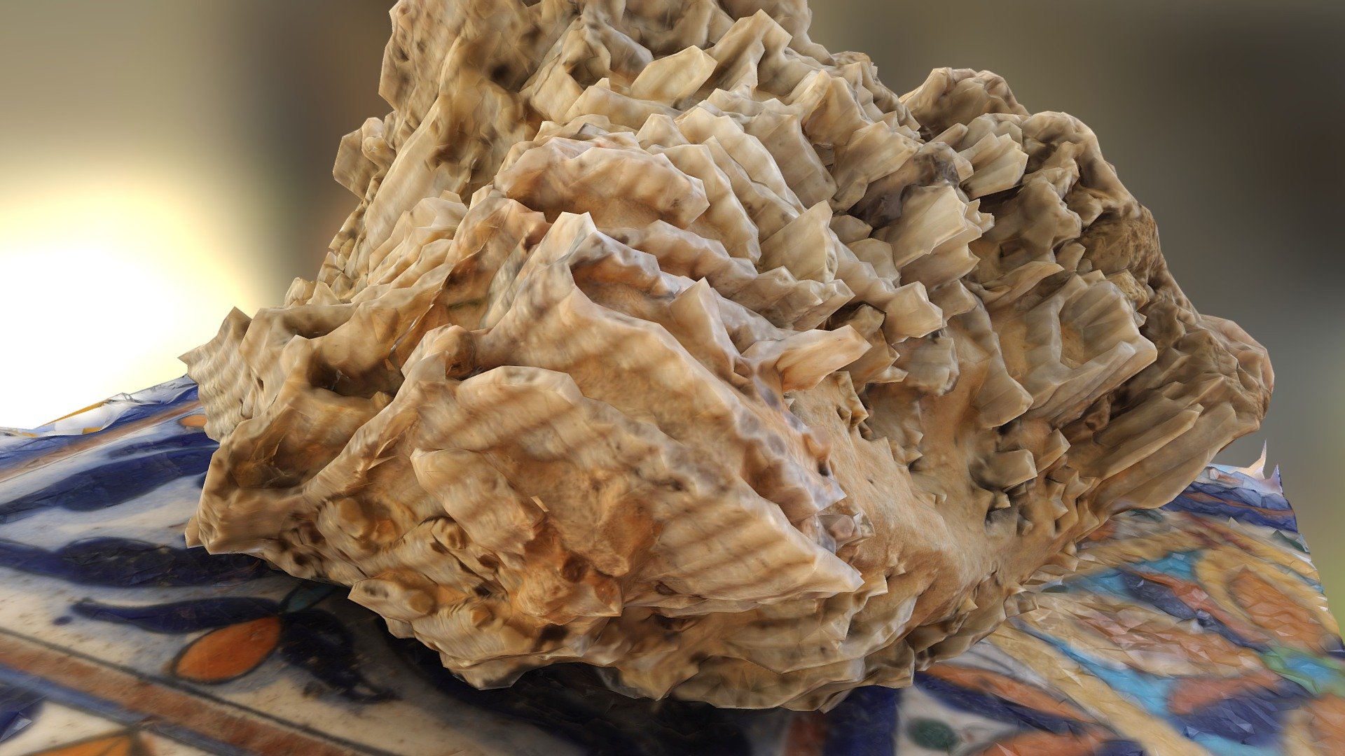 Halysite Fossil Coral