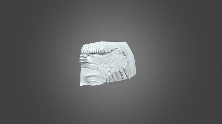 Nefertiti_sample 3D Model