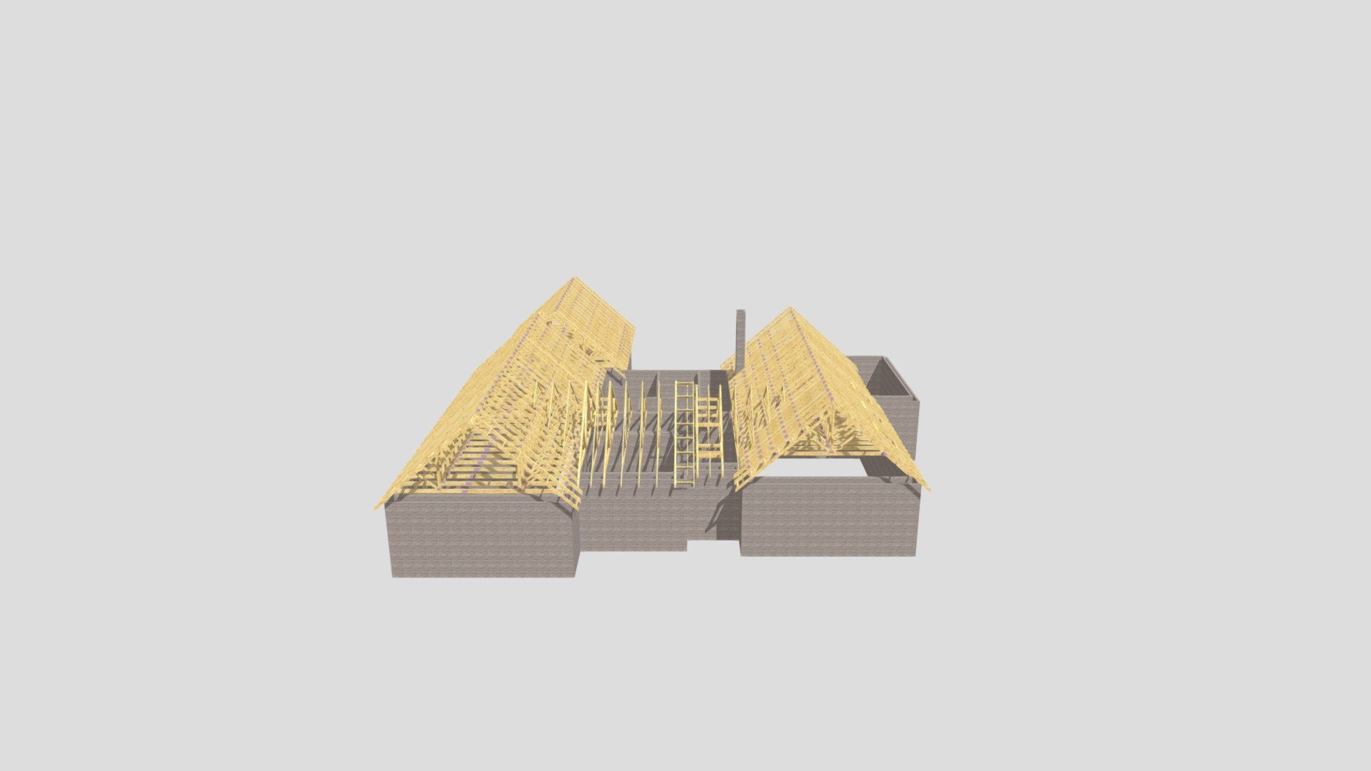 Nally House Roof