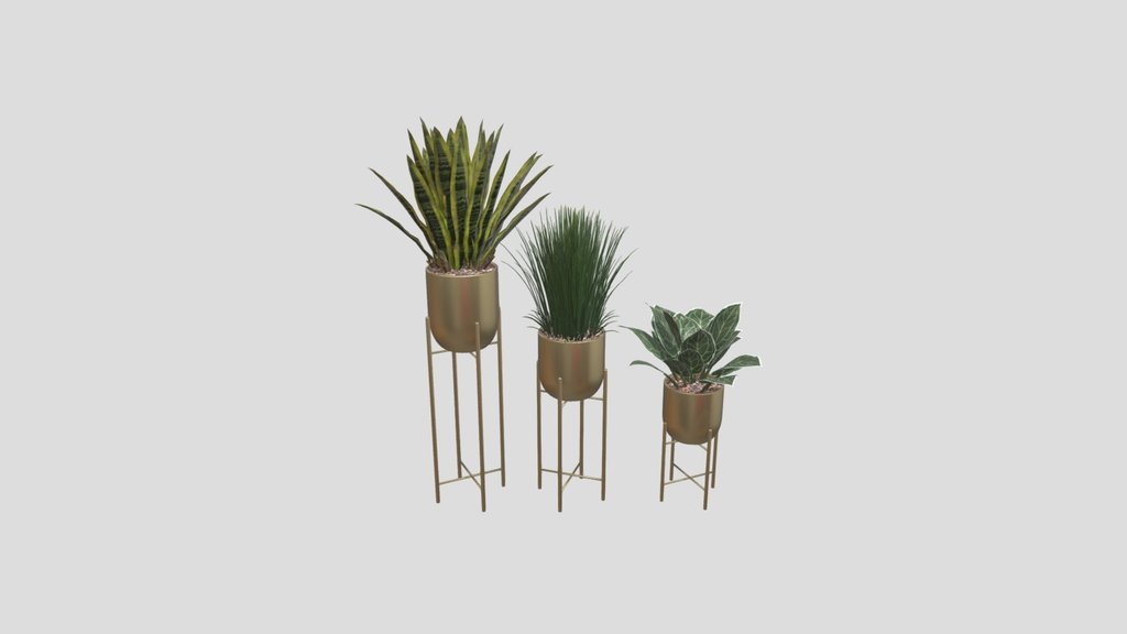 Plant