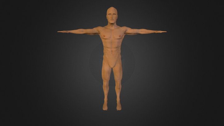 Low Poly Man 3D Model