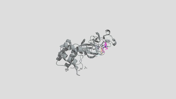 SARS-CoV-2 Main Protease & PF-07321332 3D Model