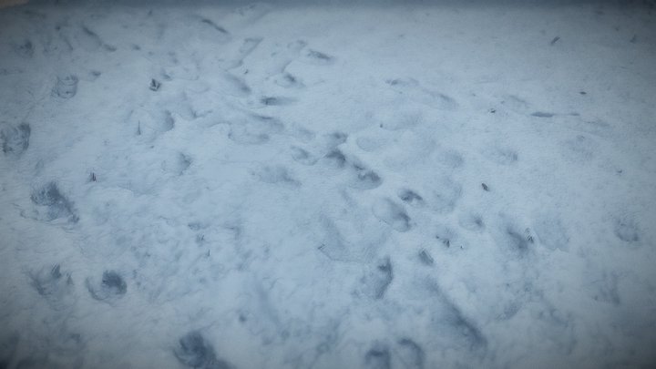Ground Snow 1 3D Model