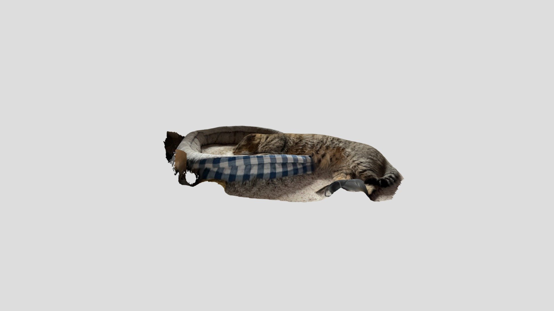 New Model