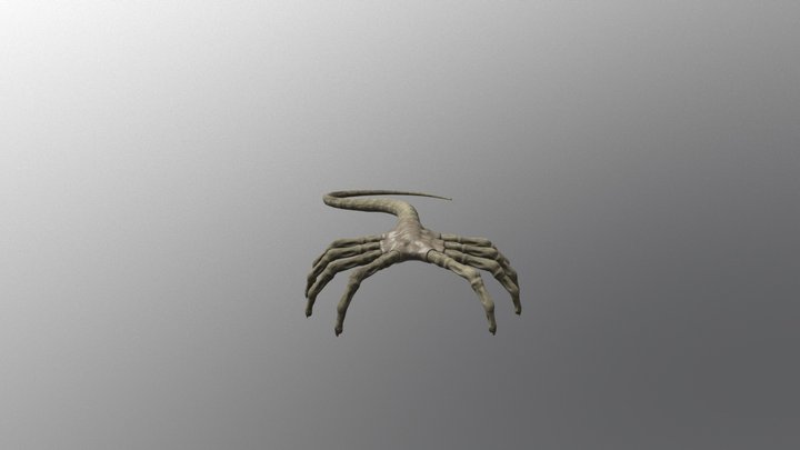 Facehugger 3D Model
