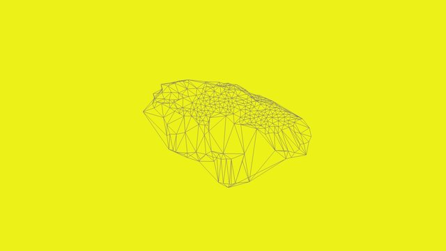 Shape 3D Model