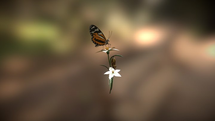 mechanitis polymnia butterfly 3D Model