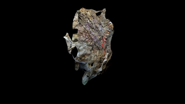 Murciélagos 3D Model