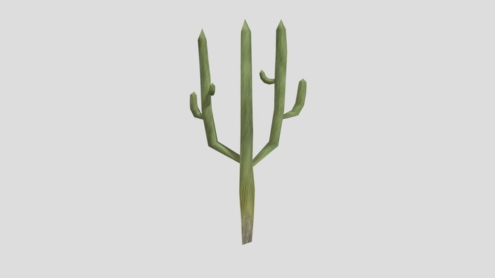 Carnegiea Gigantea LD V2_LOD3