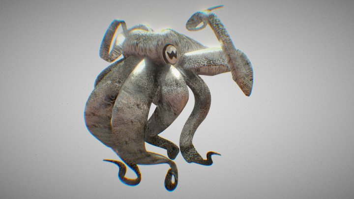 Cuttlefish 3D Model