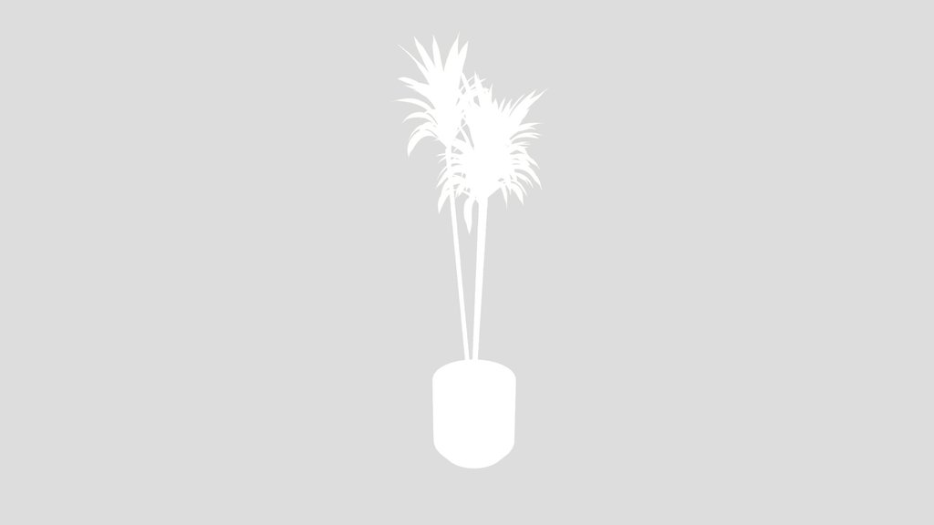 House Plant Lemon Lime Cane Dragon