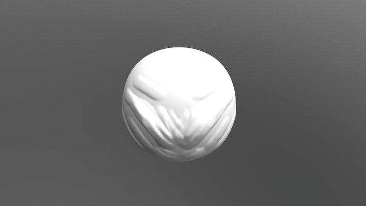 My model 3D Model