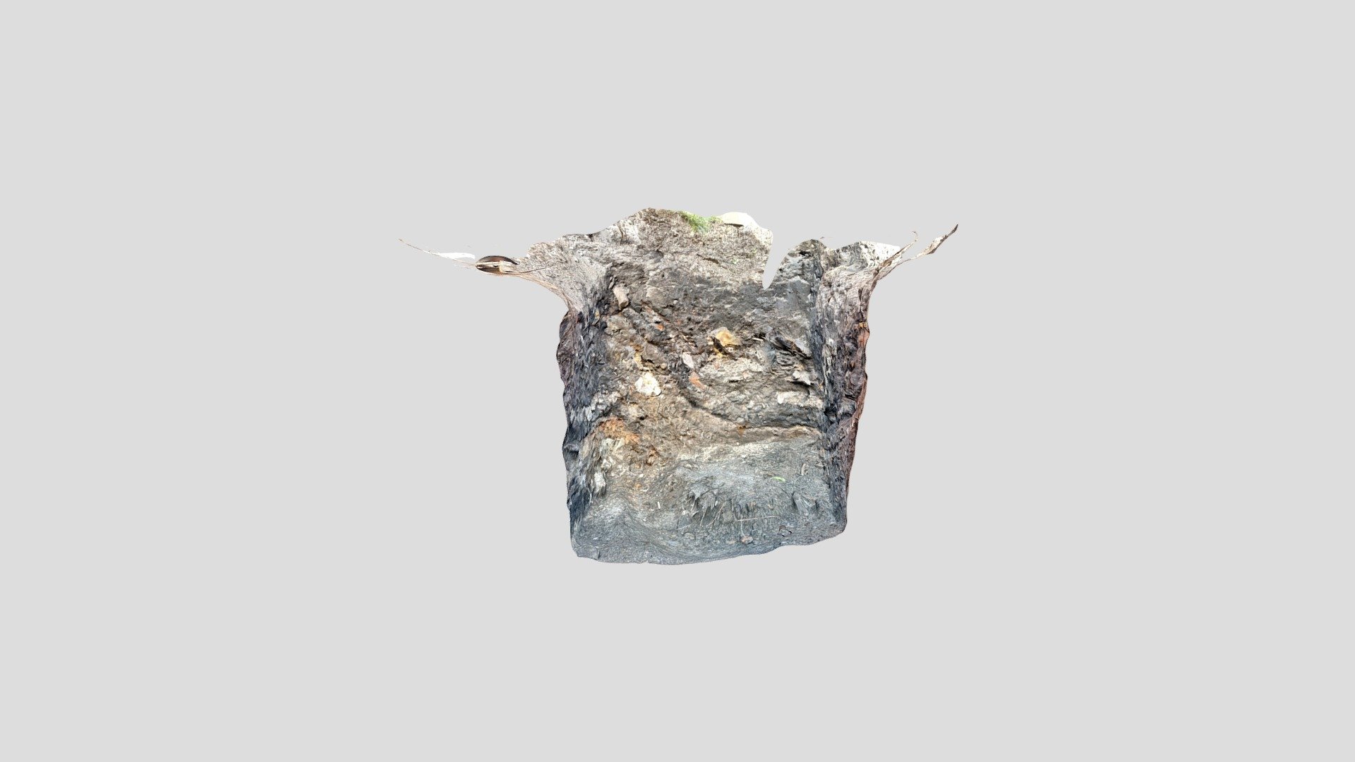 9.09.2021_wyk.1/21/VII