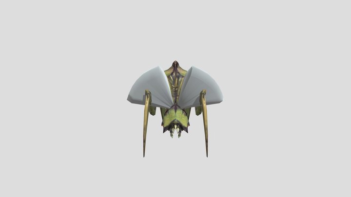 Half-life 2 Antlion 3D Model