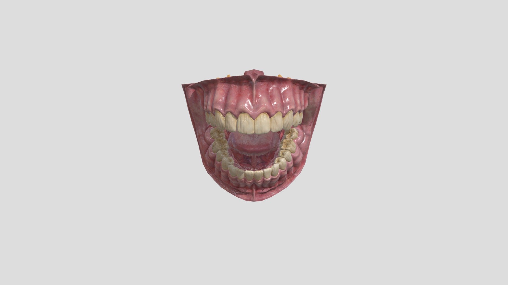 Mouth (Mulut) - Download Free 3D model by ihsan42 [e35c07b] - Sketchfab