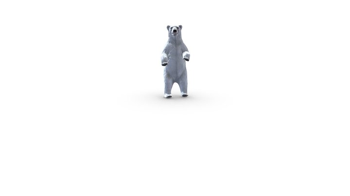 Polar-Bear-Standing 3D Model
