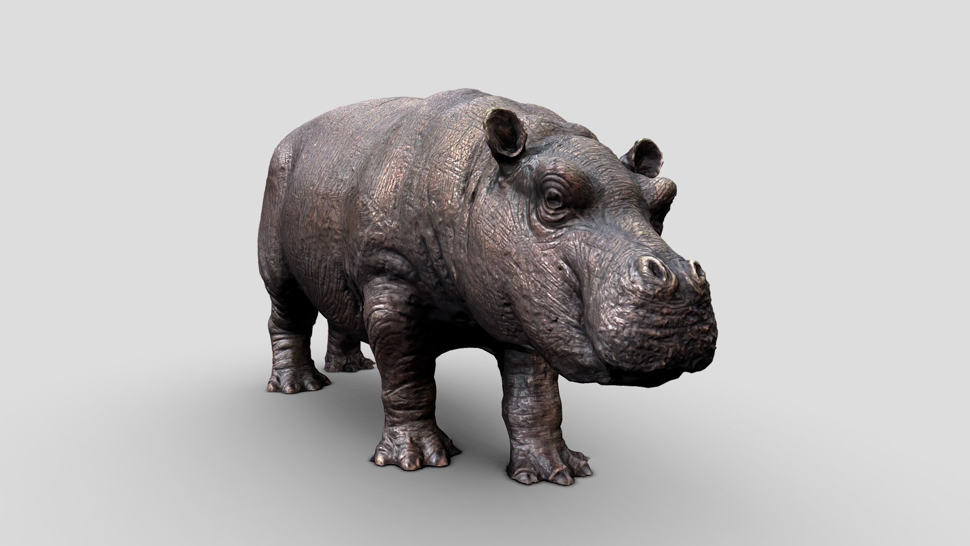 Baby Hippo Sculpture