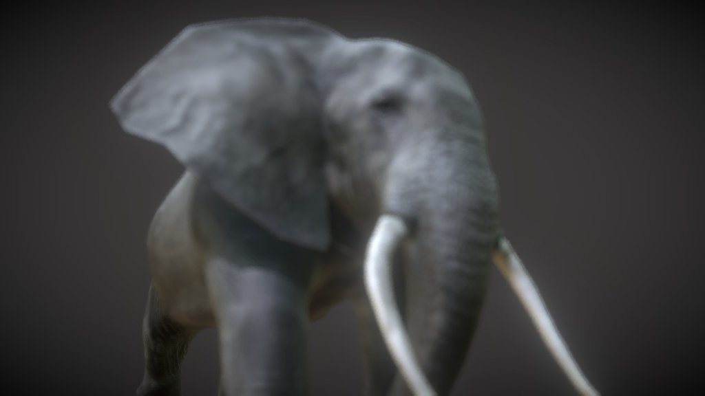 3D elephant model