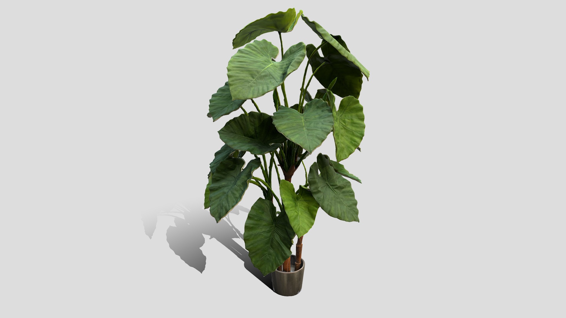 3D model 000121_152012 - This is a 3D model of the 000121_152012. The 3D model is about a plant in a pot.