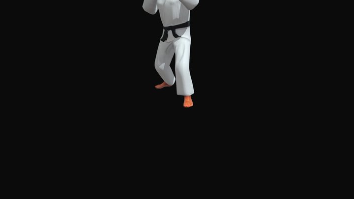 Mawashi Geri Shodan 3D Model