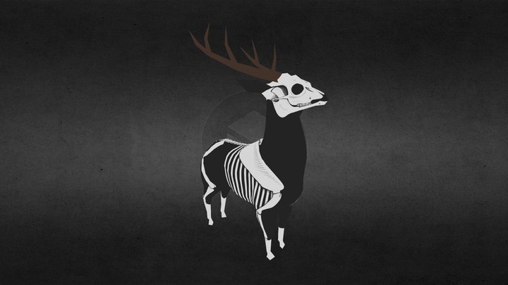 Deer Skeleton 3D Model
