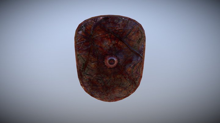 Shield_03 3D Model