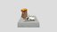 Loading 3D Model