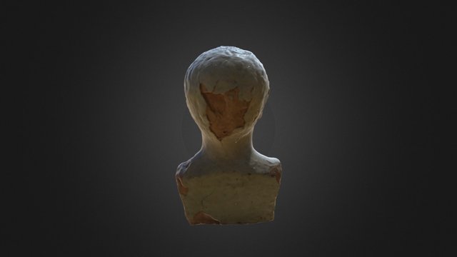 Busto 3D Model