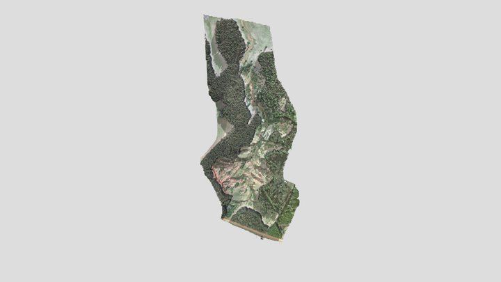 V1 3D Model