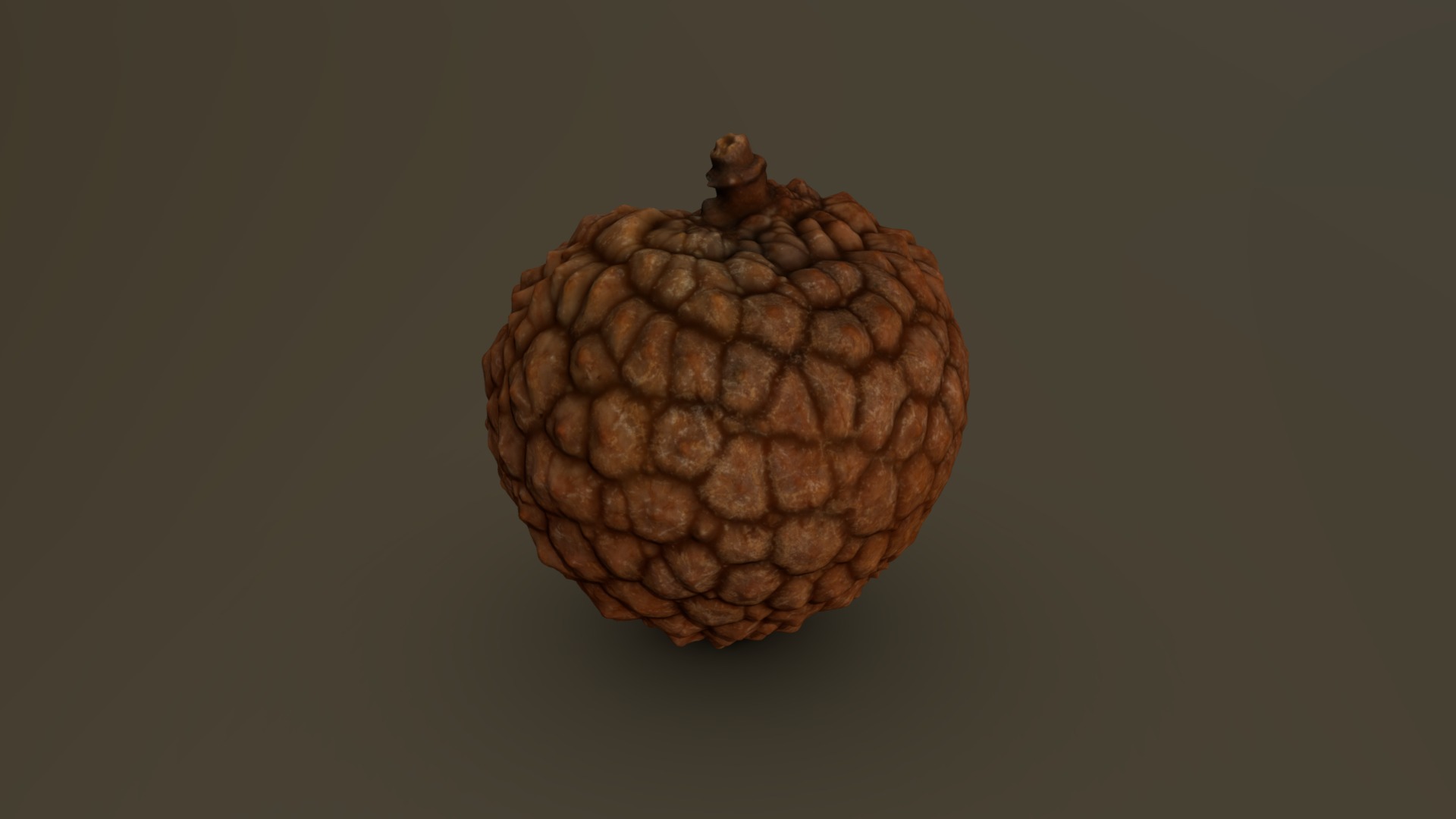 3D model Lychee 09 - This is a 3D model of the Lychee 09. The 3D model is about a pine cone with a brown center.