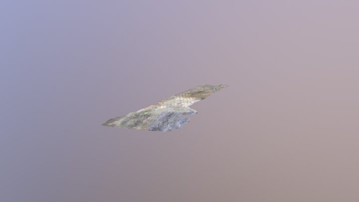 Project-2018-08-15 Simplified 3d Mesh 3D Model