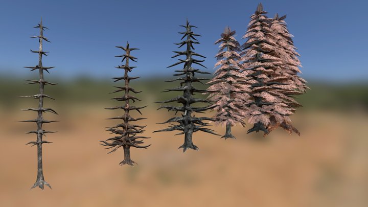 Dead Variations - Coniferous Trees - Game Assets 3D Model