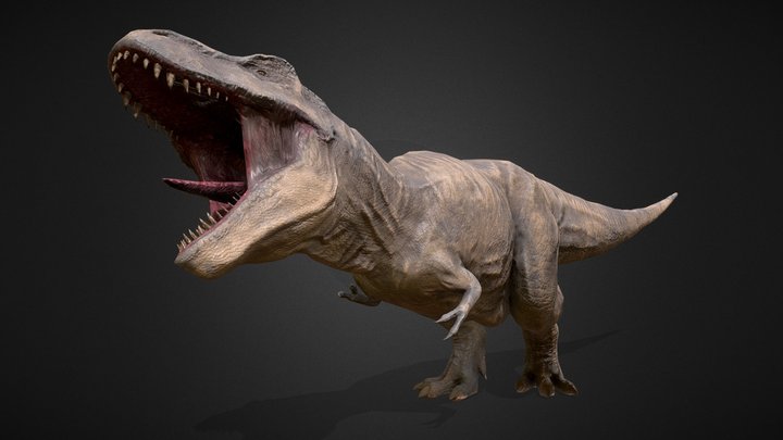 Trex - Tyrannosaurus - HiepVu 3D Model