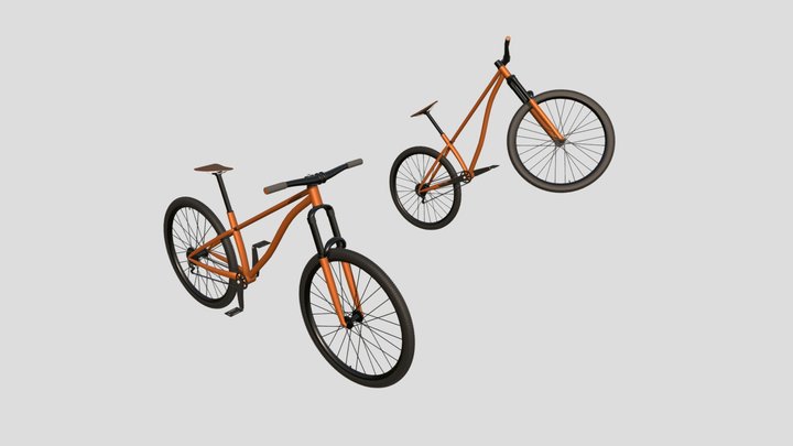 Mountain Bike 2 Poses XYZ 3D Model