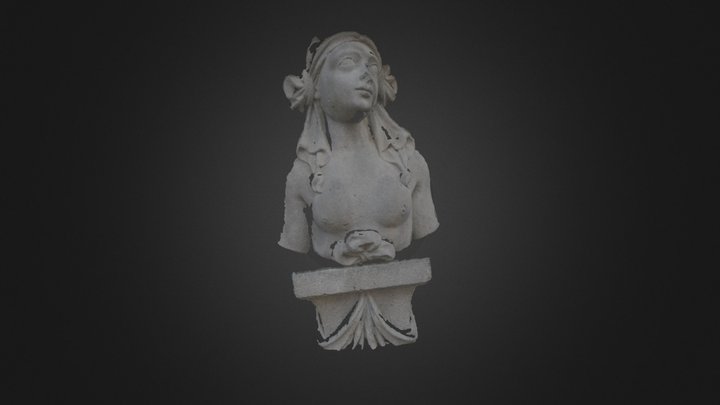 Riom woman torso 3D Model