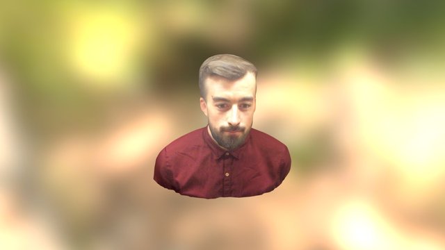 cedric buste 3D Model