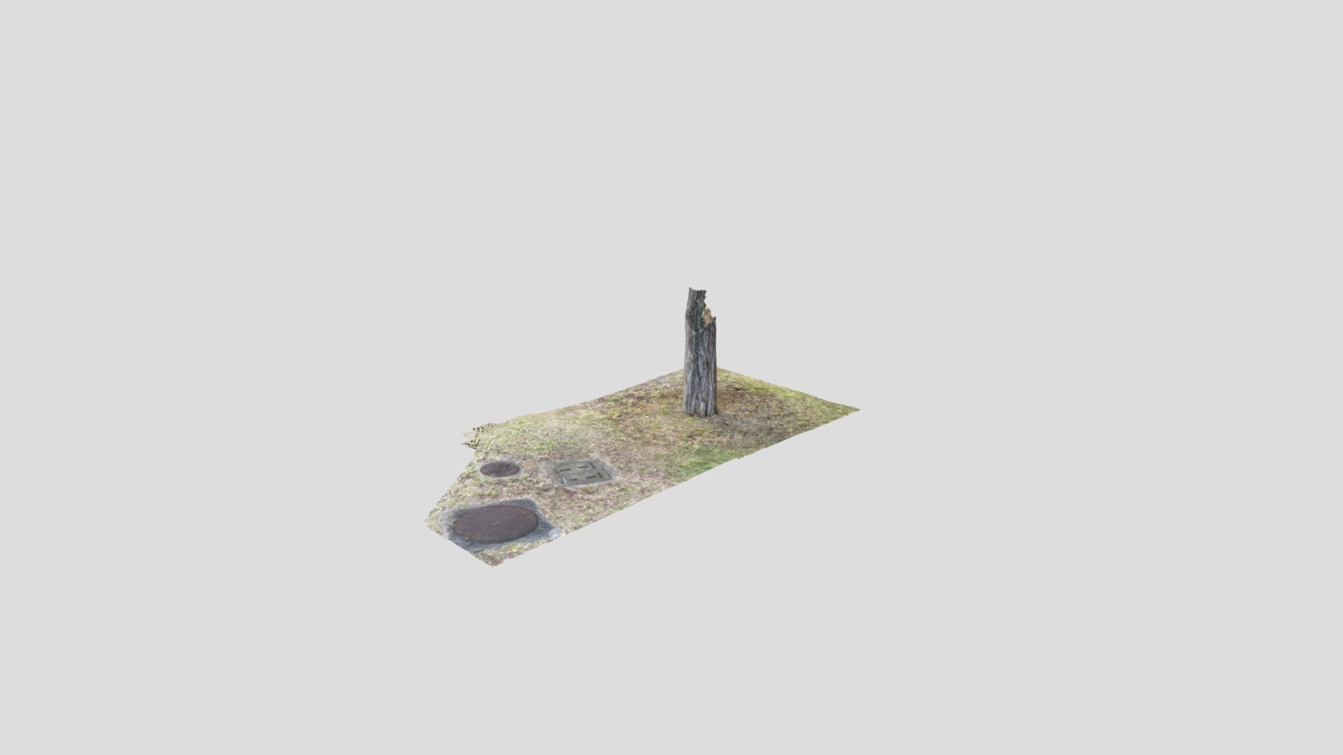 A tree and manholes