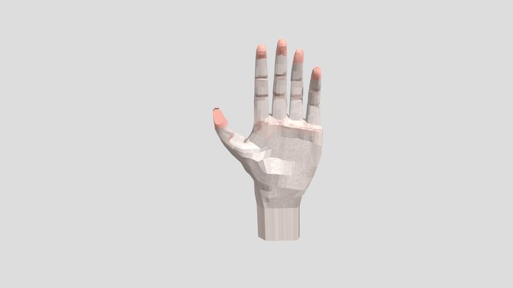 LowPoly Hand 3D Model