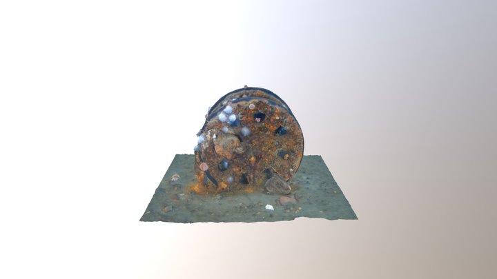 Unidentified wheel 3D Model