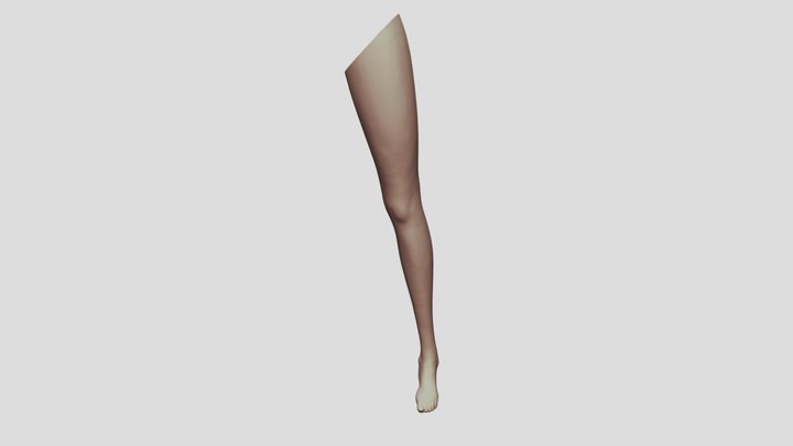 female LEG sculpt 3D Model