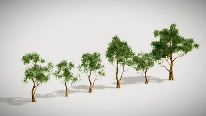 Tree Pack 01 3D Model