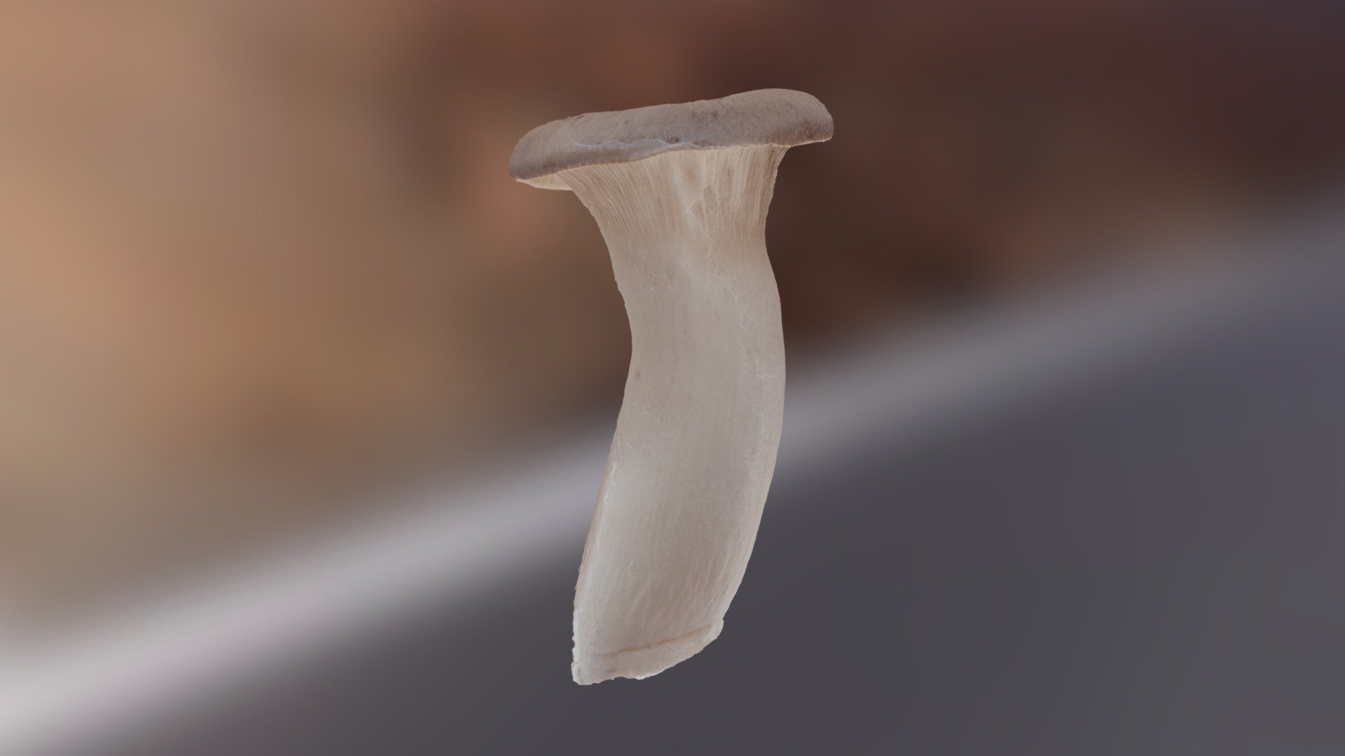 エリンギ（栽培） Pleurotus eryngii (cultivated) Download Free 3D model by