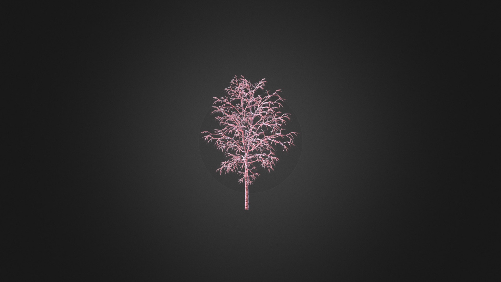 3D model Birch-Tree 4.5m (Winter) - This is a 3D model of the Birch-Tree 4.5m (Winter). The 3D model is about a purple and pink flower.