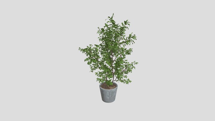 Indoor Tree – Modèle 3D gratuit STL
