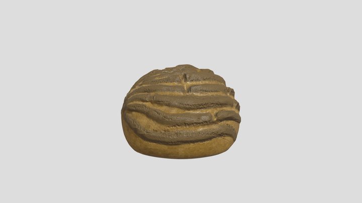 Concha de Chocolate 3D Model