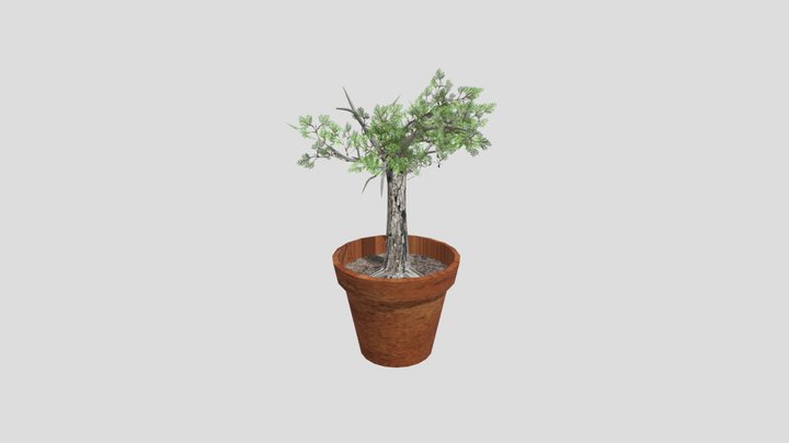 Tree in a pot! 3D Model
