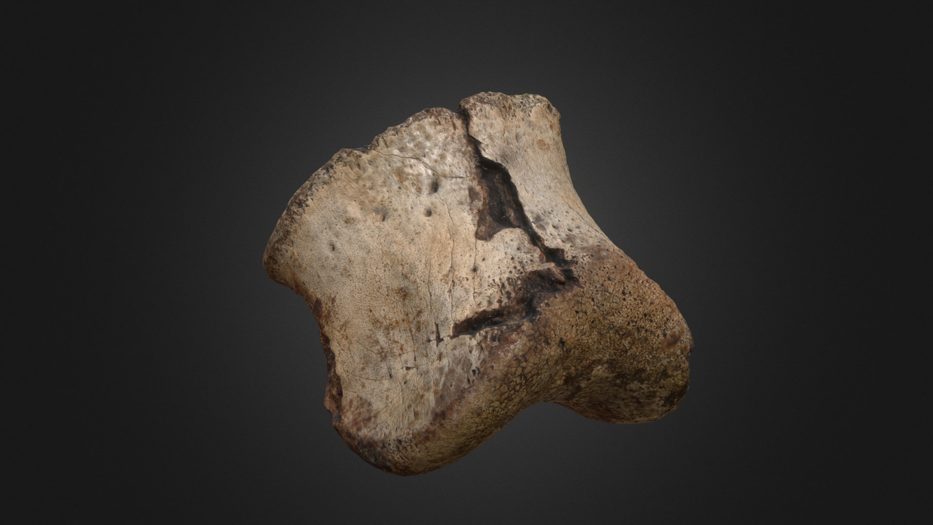 3D model Hadrosaur Toe Bone - This is a 3D model of the Hadrosaur Toe Bone. The 3D model is about a stone with a face carved into it.